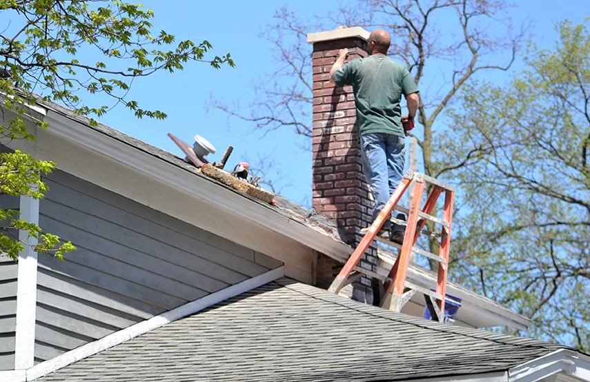 Chimney & Fireplace Inspections Services in Niles, IL